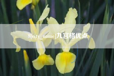 晋中九宫格优点
