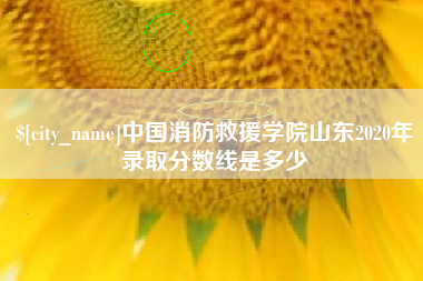 晋中中国消防救援学院山东2020年录取分数线是多少