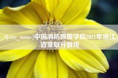 晋中中国消防救援学院2021年浙江省录取分数线