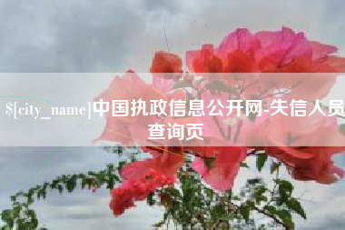 晋中中国执政信息公开网-失信人员查询页