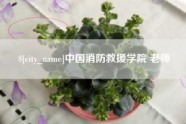 晋中中国消防救援学院 老师