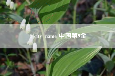 晋中中国第9金