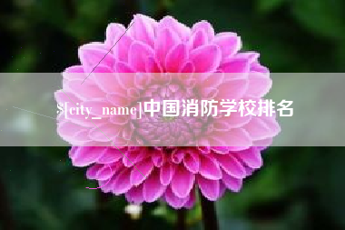 晋中中国消防学校排名