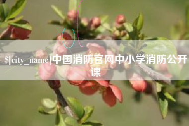 晋中中国消防官网中小学消防公开课