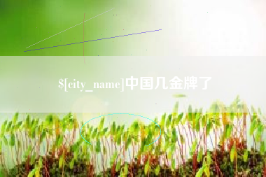 晋中中国几金牌了