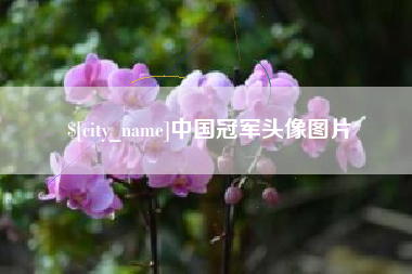 晋中中国冠军头像图片