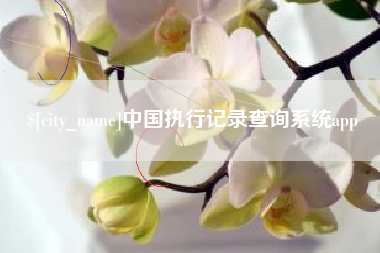 晋中中国执行记录查询系统app