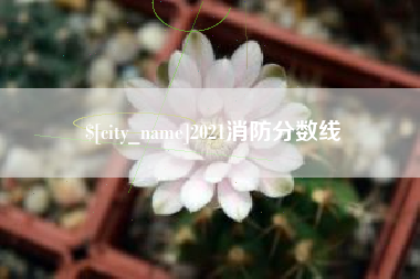 晋中2021消防分数线
