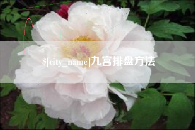 晋中九宫排盘方法