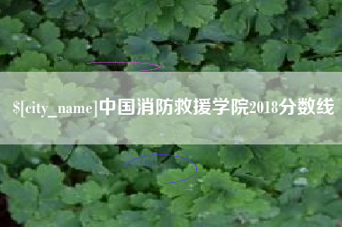 晋中中国消防救援学院2018分数线