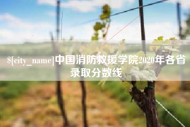晋中中国消防救援学院2020年各省录取分数线