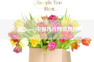 晋中中国执行网信息官网
