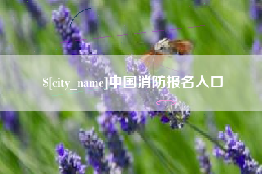 晋中中国消防报名入口