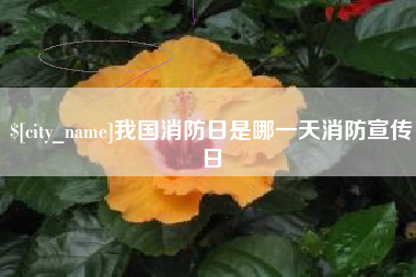 晋中我国消防日是哪一天消防宣传日