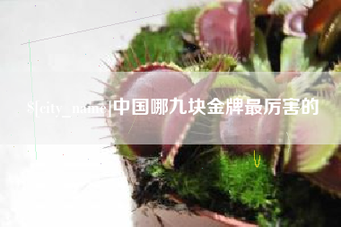 晋中中国哪九块金牌最厉害的