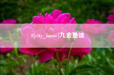 晋中九金是谁