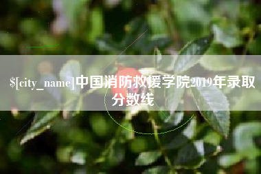 晋中中国消防救援学院2019年录取分数线