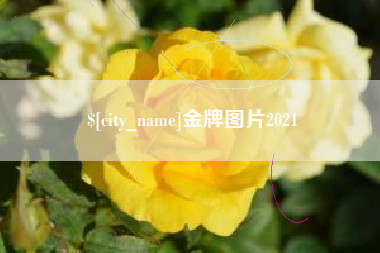 晋中金牌图片2021