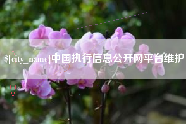 晋中中国执行信息公开网平台维护