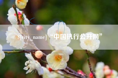 晋中“中国执行公开网”