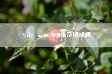 晋中5000米及格成绩