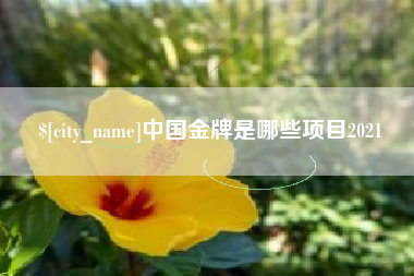 晋中中国金牌是哪些项目2021