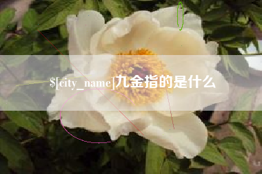 晋中九金指的是什么