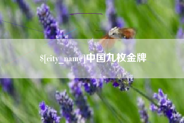 晋中中国九枚金牌