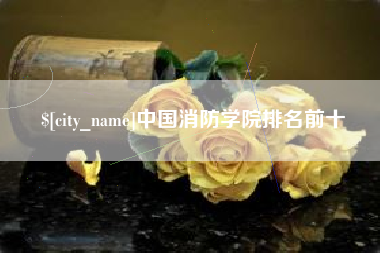 晋中中国消防学院排名前十