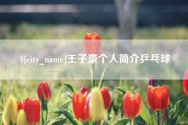 晋中王子豪个人简介乒乓球