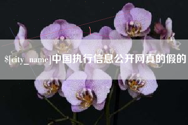 晋中中国执行信息公开网真的假的