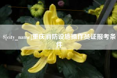 晋中重庆消防设施操作员证报考条件