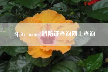 晋中消防证查询网上查询