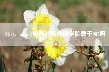晋中中国消防救援学院属于985吗