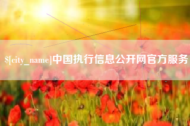 晋中中国执行信息公开网官方服务