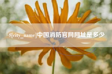 晋中中国消防官网网址是多少