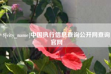 晋中中国执行信息查询公开网查询官网