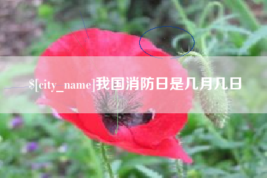 晋中我国消防日是几月几日