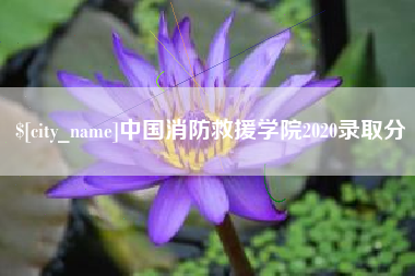 晋中中国消防救援学院2020录取分