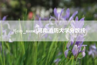 晋中河南消防大学分数线