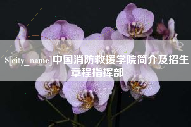 晋中中国消防救援学院简介及招生章程指挥部