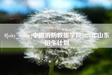 晋中中国消防救援学院2021年山东招生计划