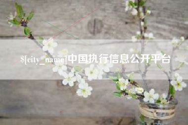 晋中中国执行信息公开平台