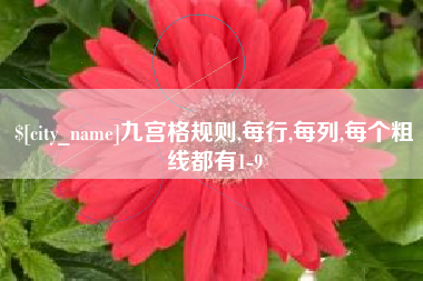 晋中九宫格规则,每行,每列,每个粗线都有1-9