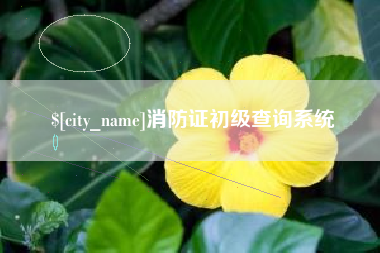 晋中消防证初级查询系统