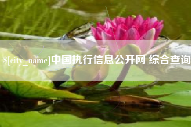 晋中中国执行信息公开网 综合查询