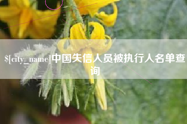 晋中中国失信人员被执行人名单查询