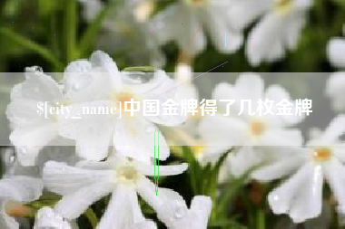 晋中中国金牌得了几枚金牌