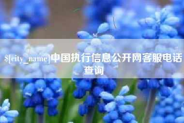 晋中中国执行信息公开网客服电话查询