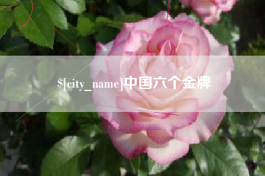 晋中中国六个金牌